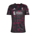 Liverpool 26/27 Third